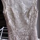 Alythea Lace Low Back Dress Photo 7