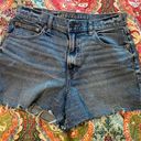 American Eagle Shorts Photo 0