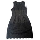 White House | Black Market WHBM Jaquard And Lace Black Dress Size 2 Photo 2