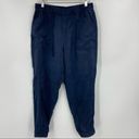 Banana Republic  Navy Blue Drawstring Waist Jogger Photo 5