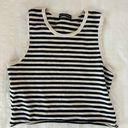 Brandy Melville Striped Tank Top Photo 0