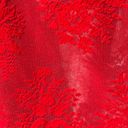 Show Me Your Mumu Vibrant Red  Risque Mesh & Embroidered Lace Slip Dress Photo 11