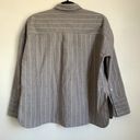 Everlane NWT  The Boxy Oxford Shirt in Striped Gray/White Photo 3