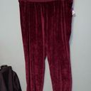 Abound  Burgundy Velour Joggers with Pockets Size 1X Photo 0