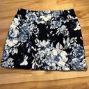 Krass&co S.C. &  Pull-on Blue Floral Skort Photo 5