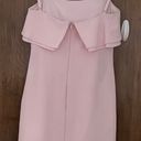 Karl Lagerfeld Paris Blush Pink Bodycon Ruffle Spaghetti Straps Dress, size 2 Photo 7