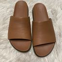 Sorel New  Slides Size 6.5 Photo 0