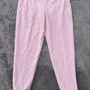 Patagonia Micro D Fleece Joggers Pants Stingray Mauve Womens XS NWT Photo 0