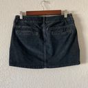 American Eagle Outfitters Vintage Mini Skirt Photo 1