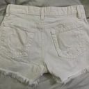 Just Black Denim White Jean Shorts Photo 1