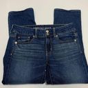 American Eagle  Outfitters Womens Denim Jeans Artist Crop Blue Wash Size 4 Photo 0