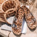 Ccocci Leopard Clear Straps Slip On Slides  Photo 0