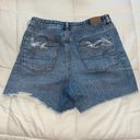 American Eagle Outfitters High Rise Shorts Photo 1