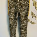 We The Free Leopard High Waisted Pants Photo 2