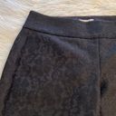 Elle  Lady in Lace   Pants size 12 inseam 25” waist 34” color black brand new Photo 10