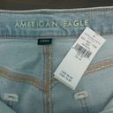 American Eagle Outfitters Shorts Photo 4
