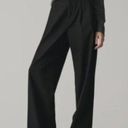 Everlane  The Way-High Drape Wide Leg Baggy Pant In Black Size 6 SHORT Photo 9