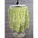 Coldwater Creek 1347- small green and white skort Photo 1