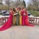 Ashley Lauren Pink Prom Dress Photo 4