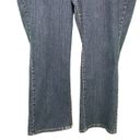 Lane Bryant Dark Wash Straight Leg Jeans Photo 4