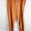 Treasure & Bond  Boyfriend Sweatpants Rust Umber Size 3X Photo 2