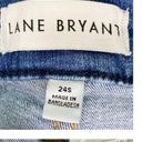 Lane Bryant Short Inseam Signature Fit Mid-Rise Straight Leg Jeans Photo 14