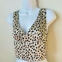 Sincerely Jules  Leopard Print Flowy Crop Top Size Medium Photo 0