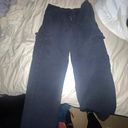 American Eagle Outfitters Cargo Pants Photo 0