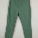 A New Day | Green Skinny Leg Pants Elastic Waist Size Medium Photo 1