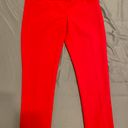 The Limited Red Dress Pants Photo 2