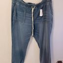 Lane Bryant  Boyfriend Jogger Jeans Photo 4