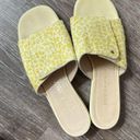 Bottega Veneta  Pony Hair Green Yellow Cheetah Slides Sandals Photo 2