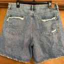 American Eagle Outfitters Jean Shorts Photo 1