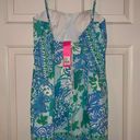 Lilly Pulitzer Mini Dress Photo 4