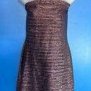 FORMULA X Shiny Purple/Black Tube Dress Size Large Photo 0