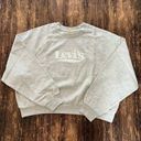 Levi's  LIGHT HEATHER GREY Women's Raglan Sleeve Graphic Sweatshirt Hoodie Med Photo 0