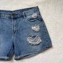 Articles of Society  Distressed Jean Shorts Size 28 Photo 2