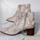 Seychelles  NEW Occasion Nueutral Snake Print Ankle Boot- Size 8 Photo 11