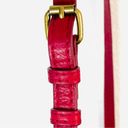 Krass&co AMERICAN LEATHER  Red Crossbody Shoulder bag with brass accents Photo 3