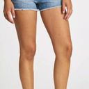 Pistola  Winston Relaxed High Rise Cuffed Denim Shorts in Mystique 28 New Jean Photo 11