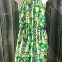 Rebecca Taylor  2 Silk Mini Dress XS Green Garden Floral Sleeveless Flutter Photo 8