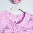 Anthropologie  Chelsea28 Lilac Purple Oversized Open Knit Sweater Photo 3