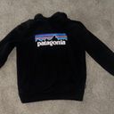 Patagonia Sweatshirt Photo 0