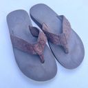 American Eagle  Outfitters Women’s Thick Strap Logo Brown Sandals Sz 8 Photo 2