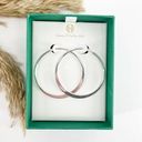 House of Harlow NIB  1960 Classic Hoops Silver Photo 0