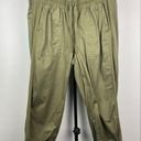 Lane Bryant  Green Pull On Elastic Waist Cropped Jogger Casual Pants Photo 0