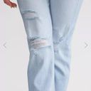 Hidden Jeans NWT Hidden Harley Mom Slim Jeans Photo 1