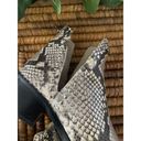 Steve Madden  Conspire Studded Snakeskin Ankle Boots Size 6.5 Biker Moto Booties Photo 2