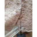 David Rose Beige Mother Of The Bride Lace Skirt & Button Down Shirt 2 Pc Set 22W Photo 12