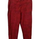 Chico's  Design VTG Printed High Waisted Straight Leg Pants in Red Women's Sz 12 Photo 0